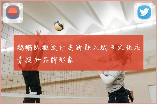 鹈鹕队徽设计更新融入城市文化元素提升品牌形象