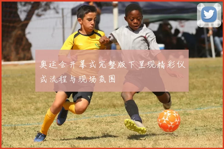 奥运会开幕式完整版下呈现精彩仪式流程与现场氛围