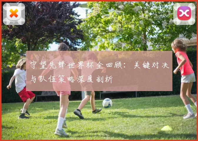 守望先锋世界杯全回顾：关键对决与队伍策略深度剖析