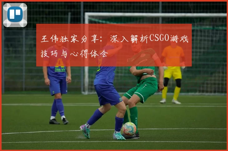 王伟独家分享：深入解析CSGO游戏技巧与心得体会