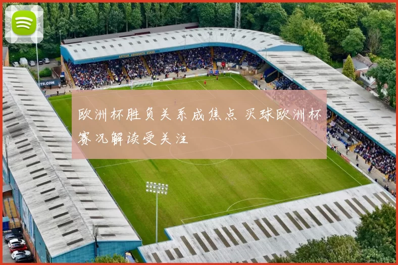欧洲杯胜负关系成焦点 买球欧洲杯赛况解读受关注