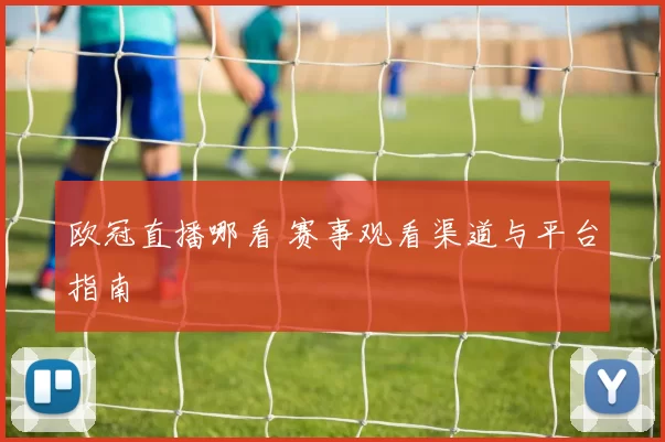 欧冠直播哪看 赛事观看渠道与平台指南