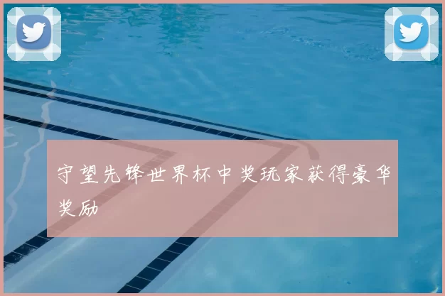 守望先锋世界杯中奖玩家获得豪华奖励