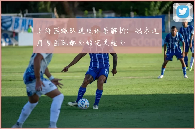 上海篮球队进攻体系解析：战术运用与团队配合的完美结合
