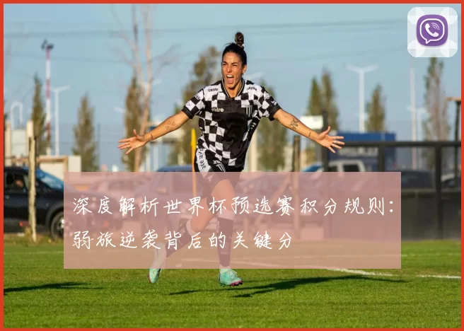 深度解析世界杯预选赛积分规则：弱旅逆袭背后的关键分