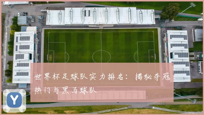 世界杯足球队实力排名：揭秘夺冠热门与黑马球队